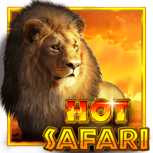 Hot Safari